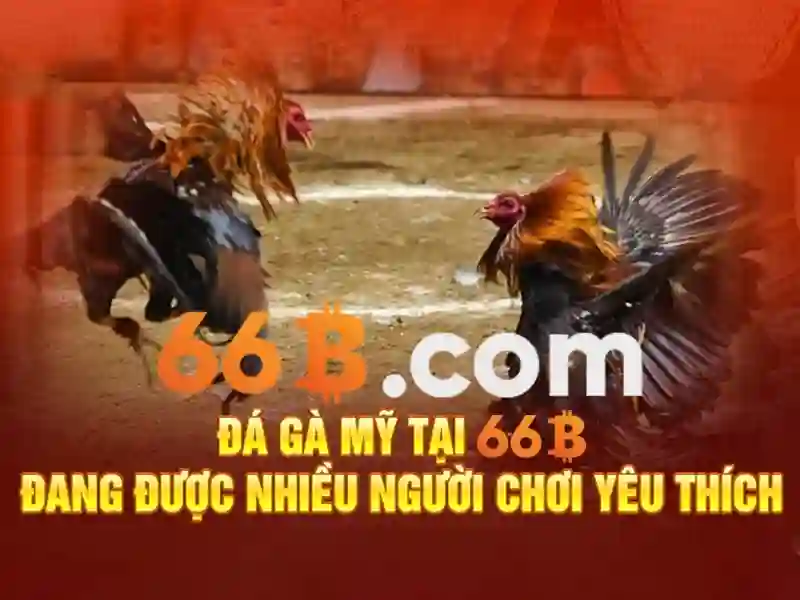 Ưu Điểm Nổi Bật Cờ Vua 66B