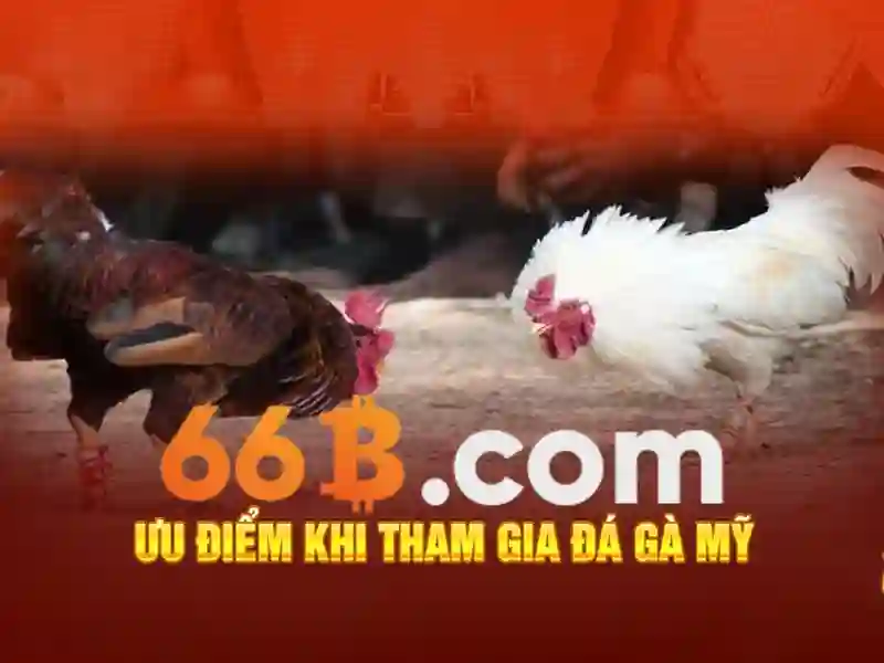 Ưu Đãi Khuyến Mãi 66B
