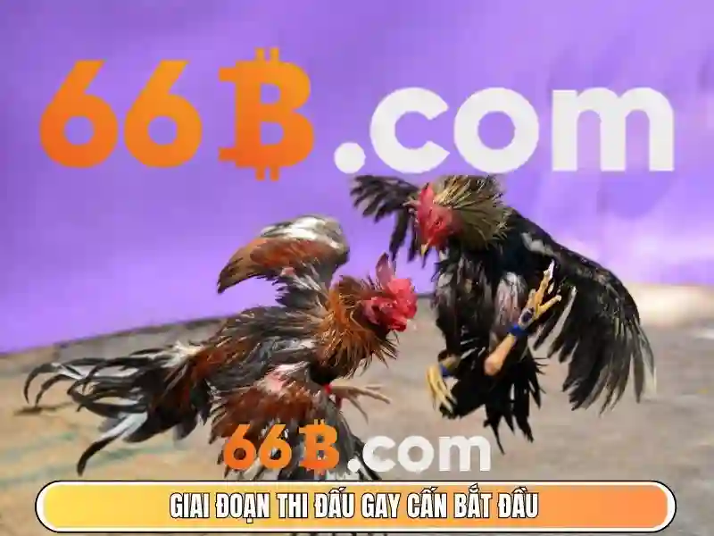 Game 66B – Trải Nghiệm Slot Vui Nhộn Cùng 66B