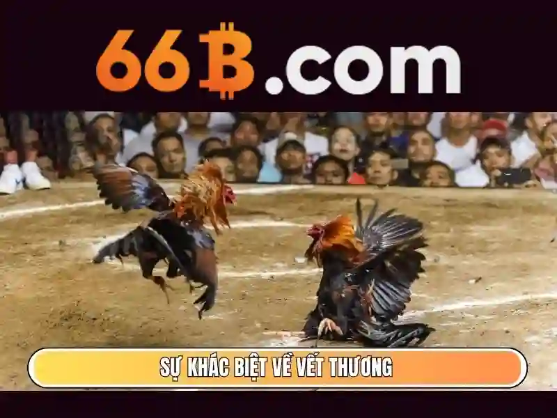 66B – Review 66B | Slot | Casino | Bắn Cá | Nổ Hũ | Thể Thao | Xổ Số | Game Bài 3D | Khuyến Mãi | Mẹo Cá Cược | Đại Lý | Tin Tức 2026