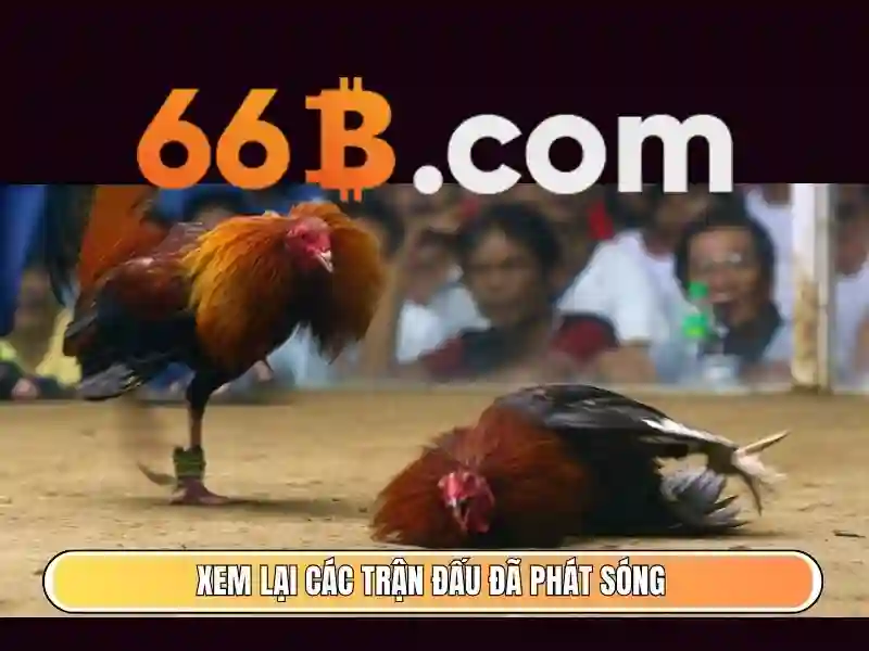 Trải nghiệm bắn cá 66B