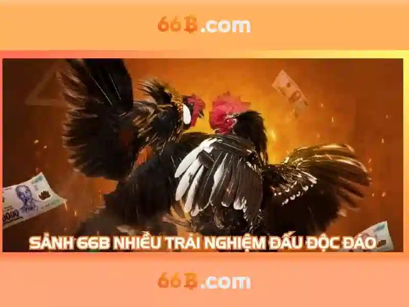 Chương Trình Ưu Đãi 66B