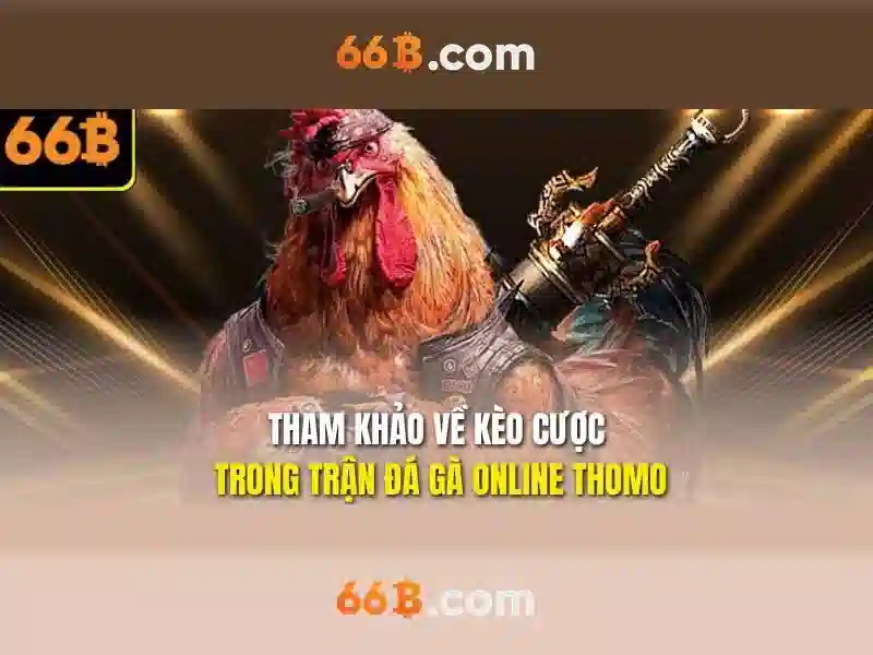 Hướng Dẫn Giao Dịch Slot 66B – Quy Trình Đơn Giản, Tiện Lợi