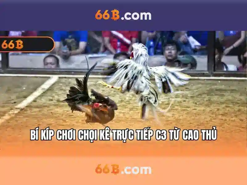 Rút Thưởng 66B