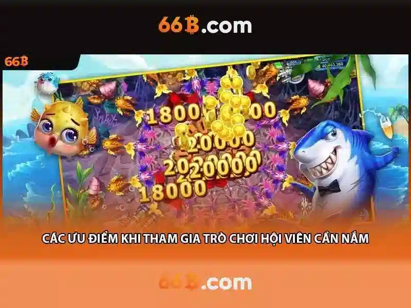 Hỗ Trợ 66B
