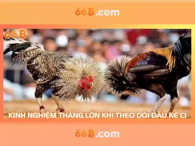 Cách Truy Cập 66B