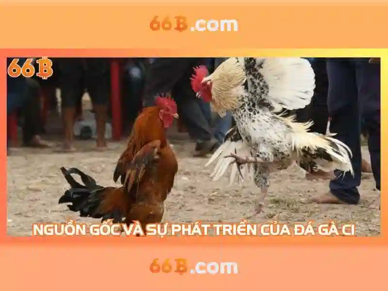 Tải 66B – Trang Chủ Chính Thức Không Bị Chặn
