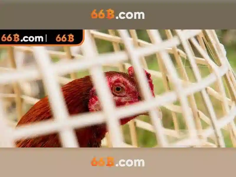 Game Slot 66B – Kinh Nghiệm Chơi Slot Đúng Cách