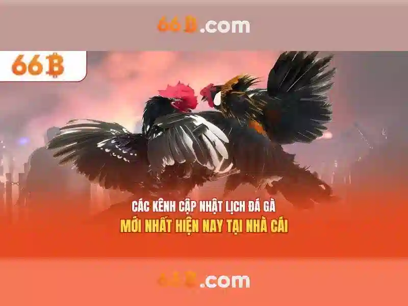 ưu đãi slot 66b
