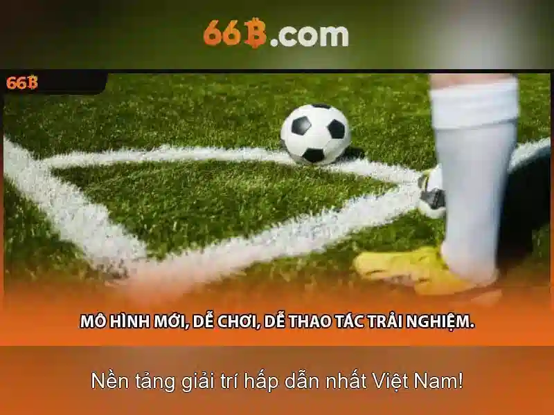 Hướng Dẫn Sử Dụng 66B