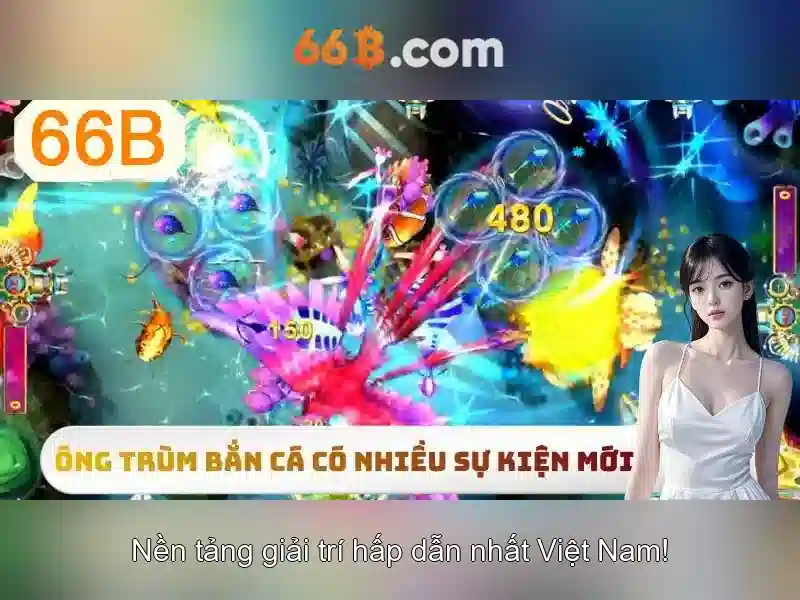 Khuyến Mãi 66B