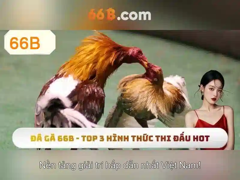 66B cập nhật