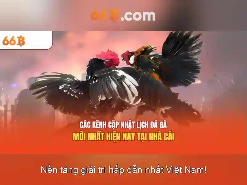 Bí Kíp Rút Thưởng Slot Đỉnh Cấp 2026