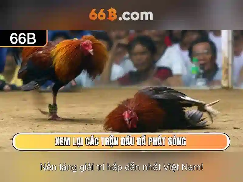 lô đề 66b