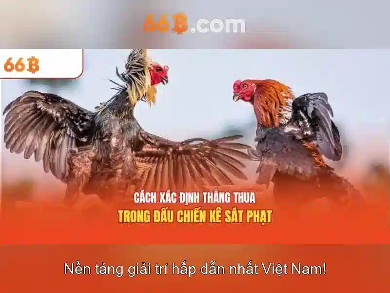 66B – Đánh Giá Slot An Toàn Không | Kinh Nghiệm Chơi Slot 2026
