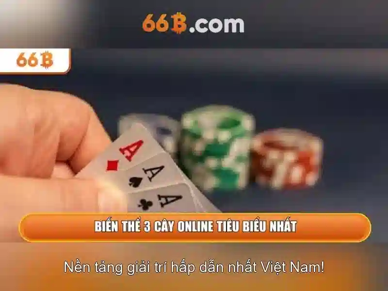 Dịch Vụ Cá Cược Thể Thao Đa Dạng