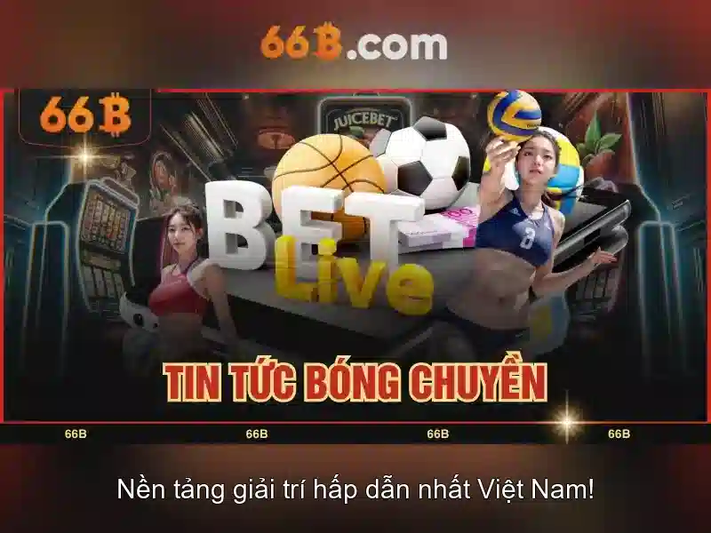 Liên Hệ 66B