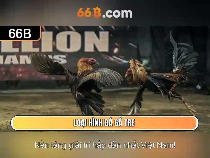chính sách nhận thưởng 66B
