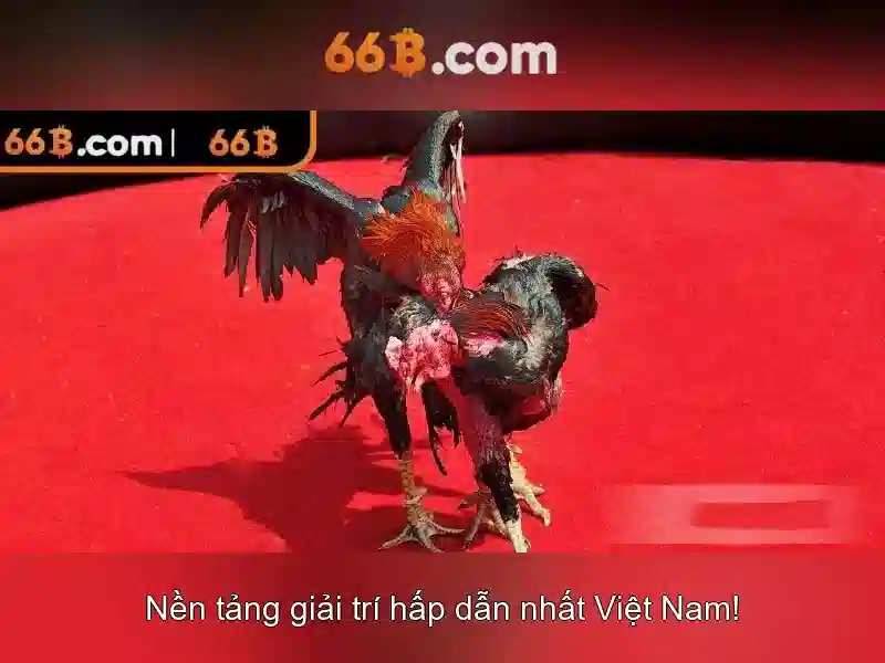 Hướng dẫn đăng nhập 66B cho slot 2026