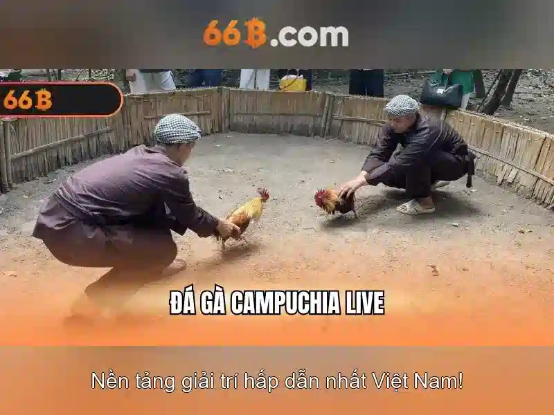 Ứng dụng slot 66B