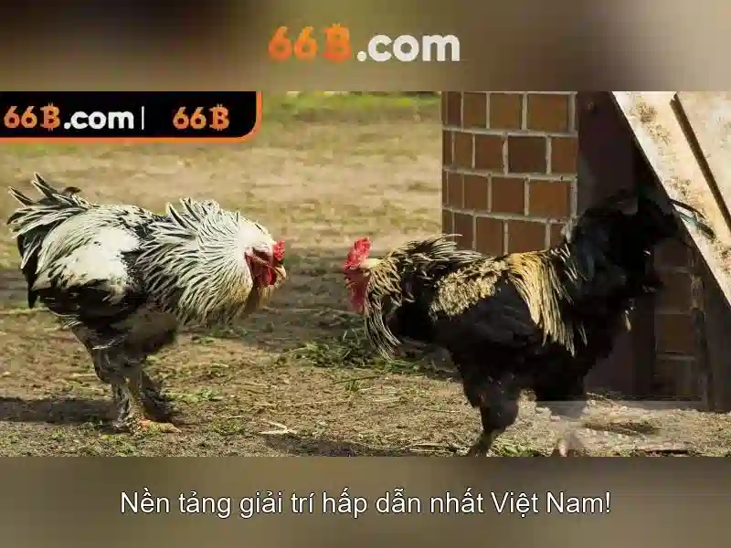 Hệ thống hỗ trợ khách hàng luôn sẵn sàng giải đáp mọi thắc mắc