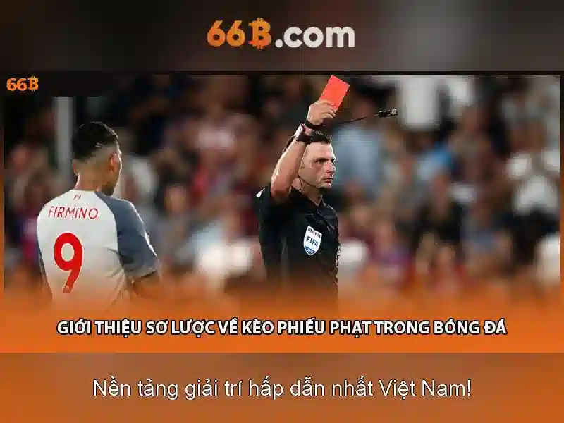 HỖ TRỢ 66B