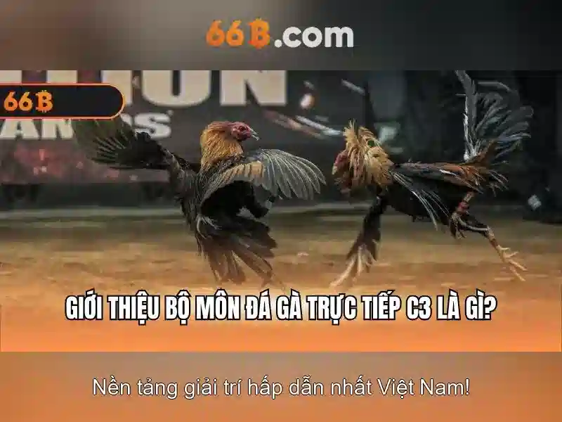 Ưu Đãi Đặc Biệt