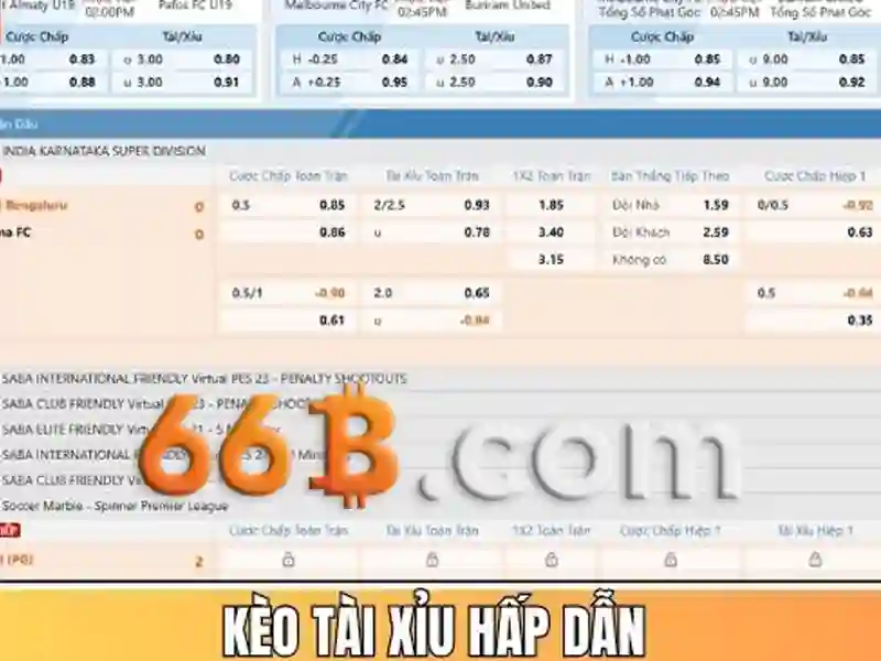 Hỗ trợ khách hàng 66B