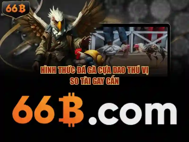 HỖ TRỢ TÀI KHOẢN 66B