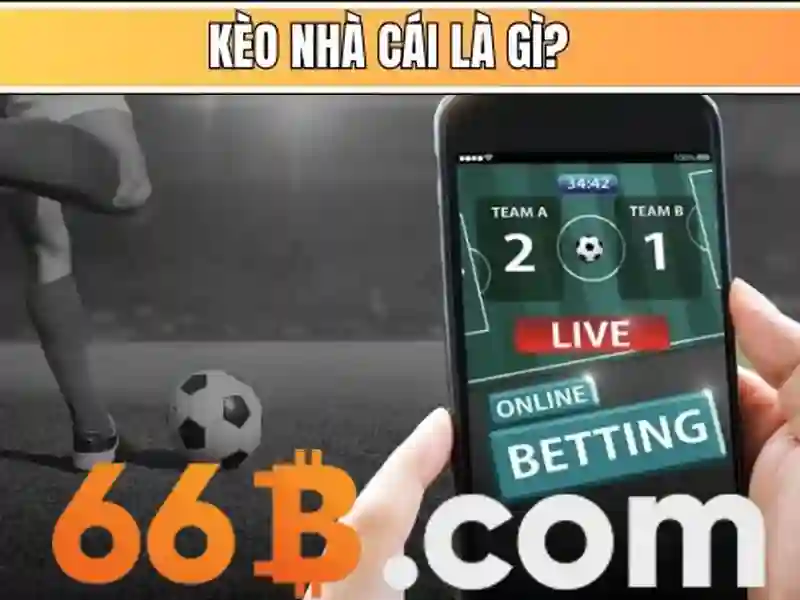 Ưu Điểm Của Phỏm 66b