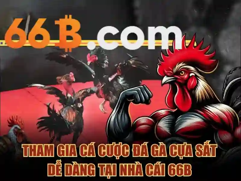 66B APK